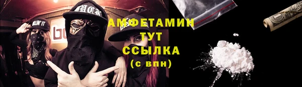 сатива Аркадак