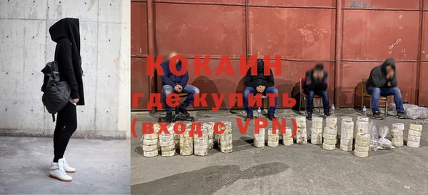сатива Аркадак