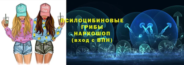 сатива Аркадак