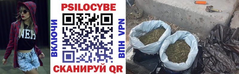 купить наркотик  Гагарин  Галлюциногенные грибы GOLDEN TEACHER 